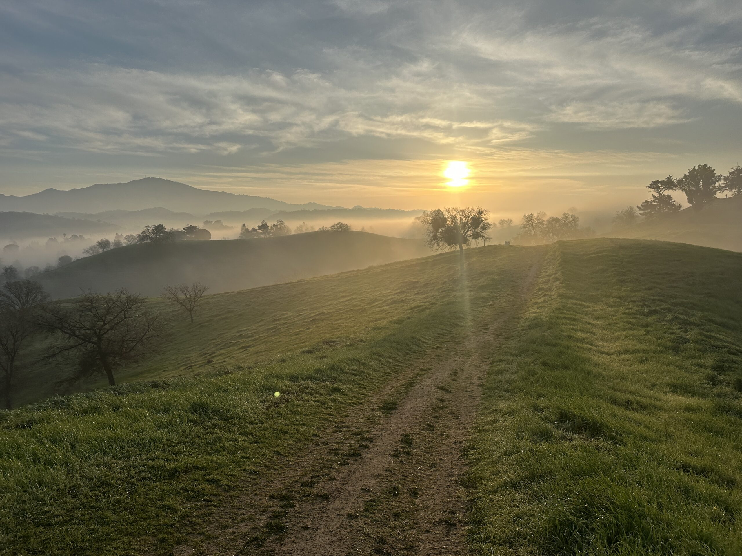 Rituals Rule. Diablo vs. World (& Roots). New Coach. World Premiere at Diablo! Great Wods. 3:48mi at 16yo. Genie. TWA 2.02.26