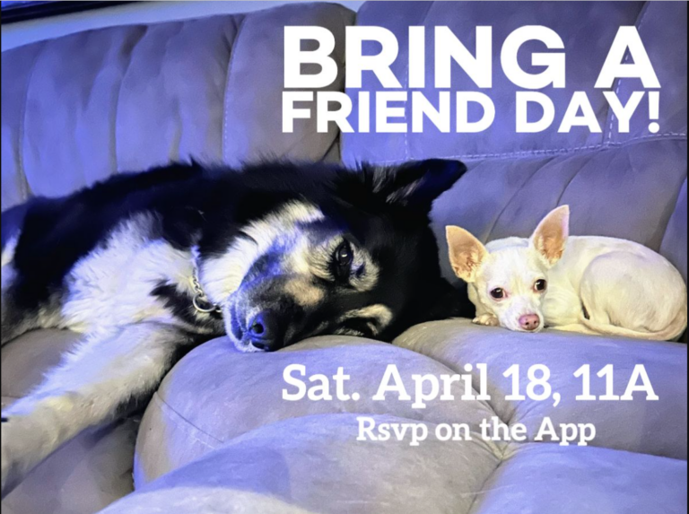 On to Semis. 3rd in The World! Are You Coachable? Bring A Friend. Visceral Fat & Driverless Cars. TWA 4.06.26 2 Screen Shot 2026 04 06 at 6.12.56 PM